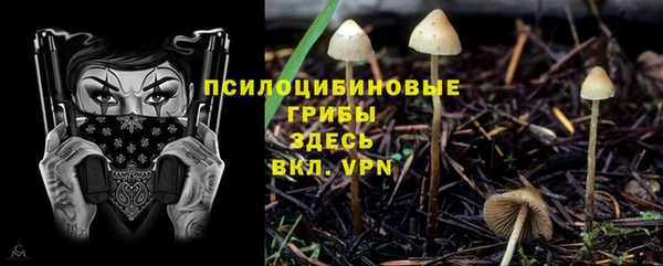 прущая мука Пересвет