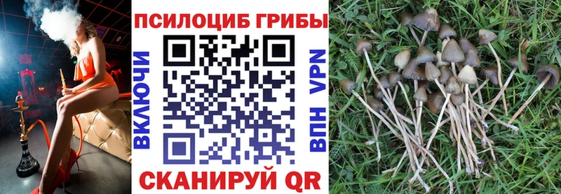 продажа наркотиков  Лакинск  Псилоцибиновые грибы MAGIC MUSHROOMS 